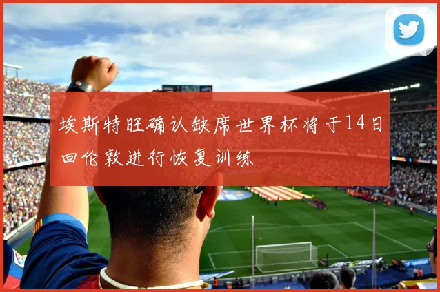 埃斯特旺确认缺席世界杯将于14日回伦敦进行恢复训练