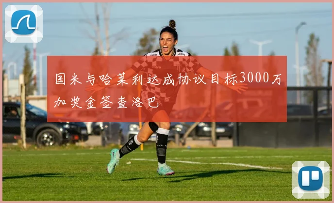 国米与哈莱利达成协议目标3000万加奖金签查洛巴